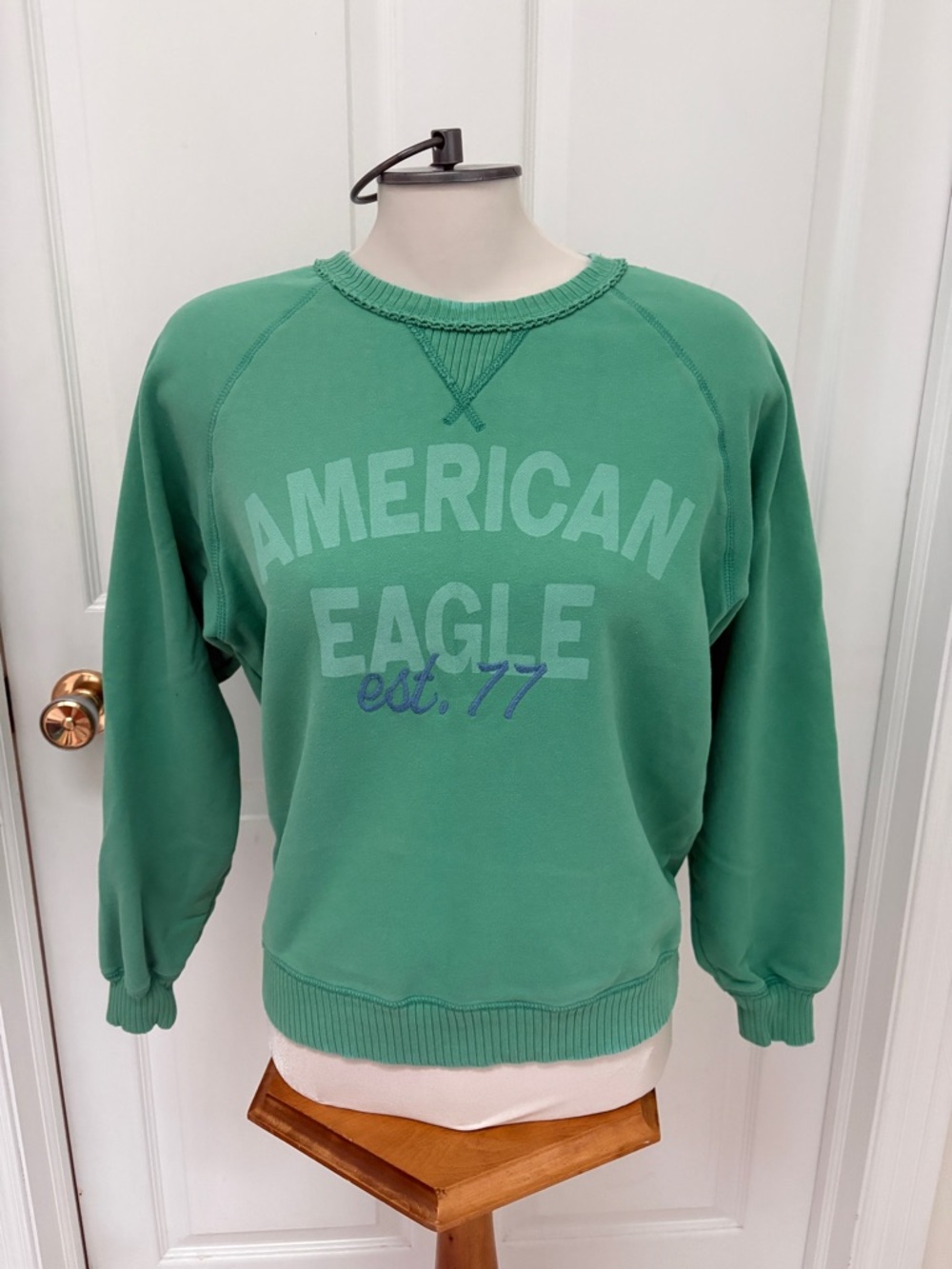 American Eagle Outfitters Green Logo Crewneck Sweatshirt